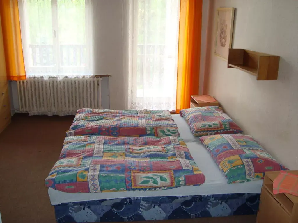 Photo 5 of Pension Protěž